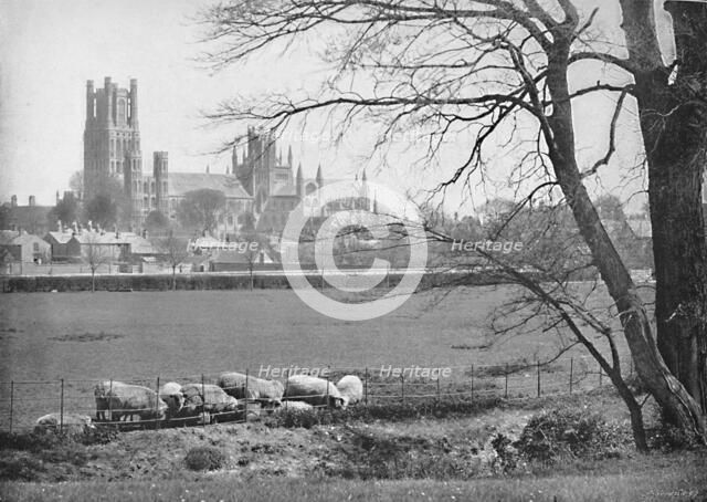 'Ely Cathedral', c1896. Artist: GW Wilson and Company.