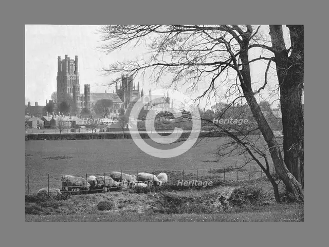 Ely Cathedral, c1900. Artist: GW Wilson and Company.