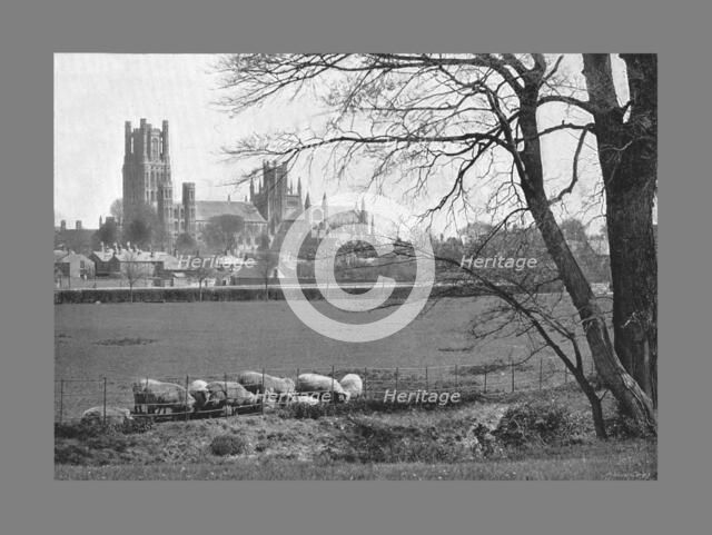 Ely Cathedral, c1900. Artist: GW Wilson and Company.