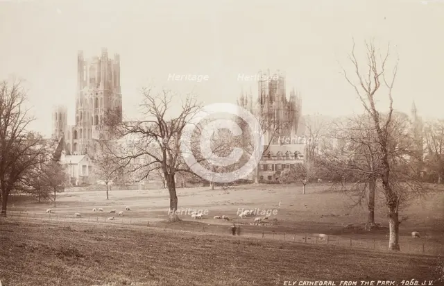 Ely Cathedral from the Park, between 1870 and 1880. Creator: James Valentine.