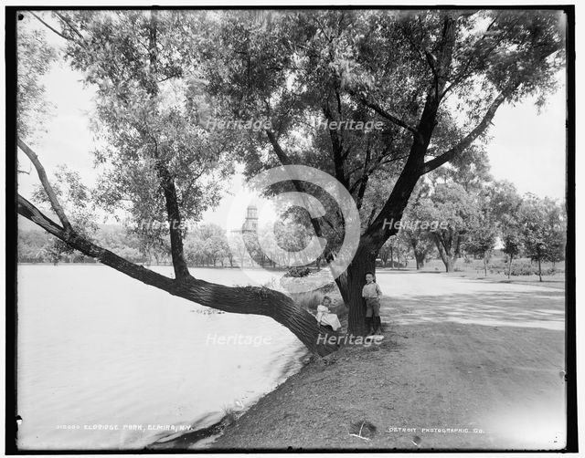 Eldridge Park, Elmira, N.Y., between 1890 and 1901. Creator: Unknown.