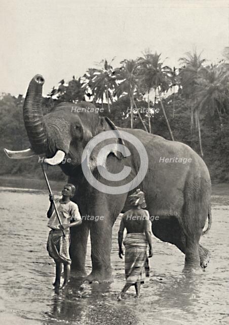 'Elefant in der Mahavaliganga', 1926. Artist: Unknown.