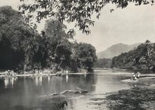 Elefantenbadeplatz an der Mahavaliganga bei Kandy 1926