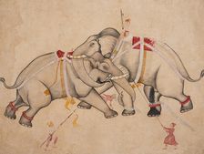 Elephant Combat, c1725. Creator: Unknown