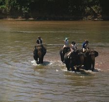 Elephant cooling off in a river. Artist: CM Dixon