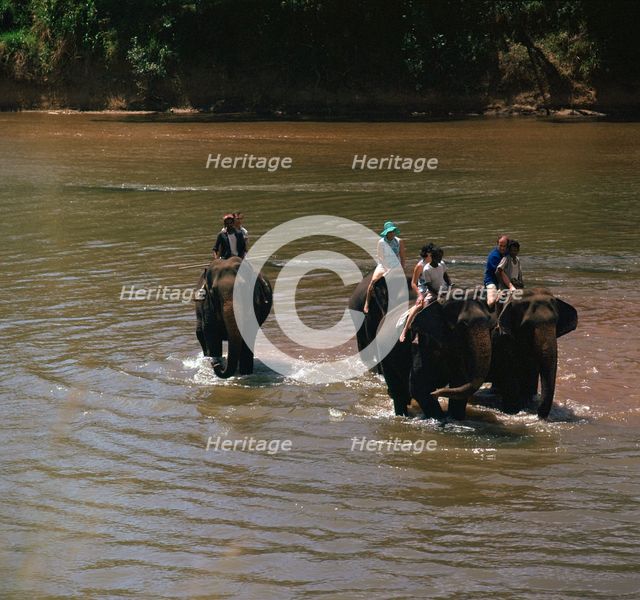 Elephant cooling off in a river. Artist: CM Dixon Artist: Unknown