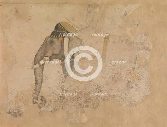 Elephant and Rider, ca. 1640. Creator: Attributed to Hashim.