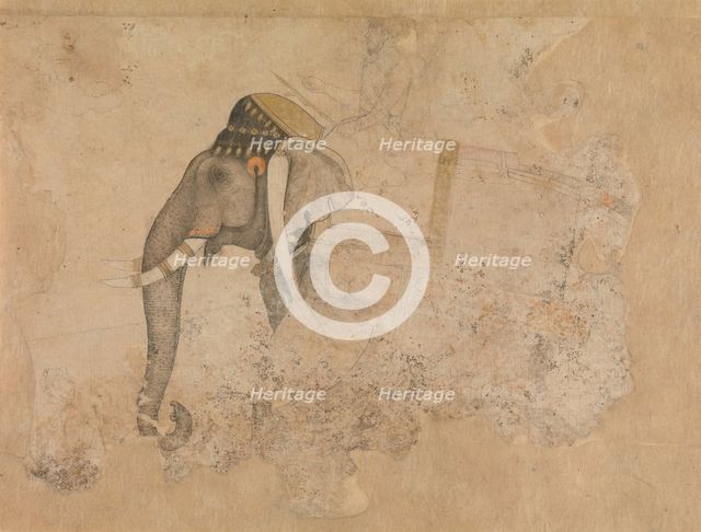 Elephant and Rider, ca. 1640. Creator: Attributed to Hashim.