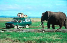 Elephant and safari van, Kenya. Creator: Peter Thompson