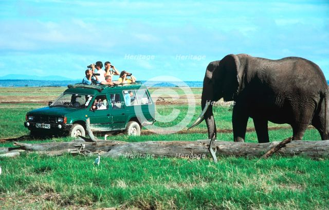 Elephant and safari van, Kenya. Creator: Peter Thompson.