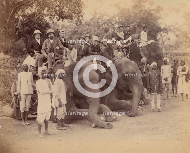 Elephant Group, 1860s-70s. Creator: Unknown.