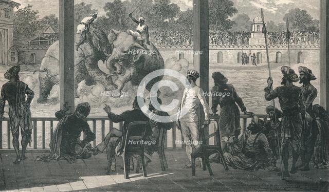 Elephant Fight at Baroda, 1896. Artist: Unknown