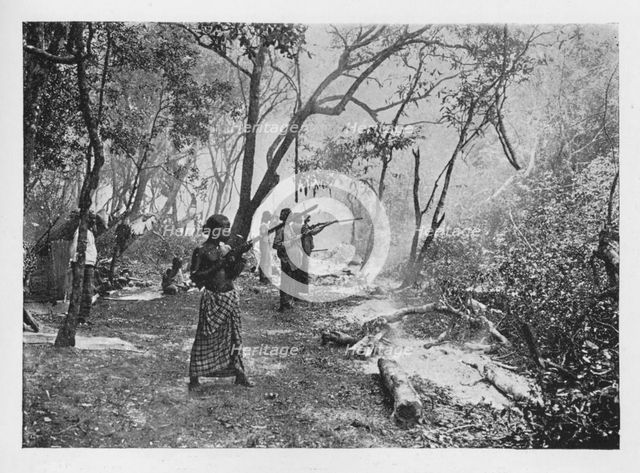 'Elephant Kraaling in Ceylon Towards the Stockade', c1890, (1910). Artist: Alfred William Amandus Plate.