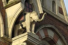 Elephant in niche, Elephant Tea Rooms, 64-66 Fawcett Street, Sunderland, Tyne and Wear, 2008. Artist: Bob Skingle