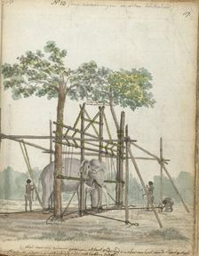 Elephant stable, 1786. Creator: Jan Brandes