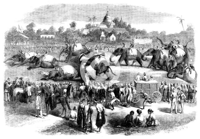 Elephant Steeplechase at Rangoon, 1858. Creator: Unknown.