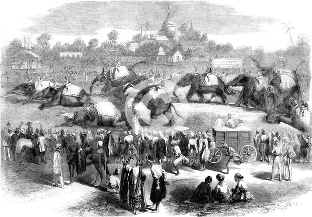 Elephant steeplechase at Rangoon, Burma, 19th century(?).  Creator: Unknown.