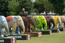 Elephant Parade, Royal Hospital, Chelsea, London, 2010. Artist: Derek Kendall