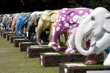 Elephant Parade, Royal Hospital, Chelsea, London, 2010. Artist: Derek Kendall