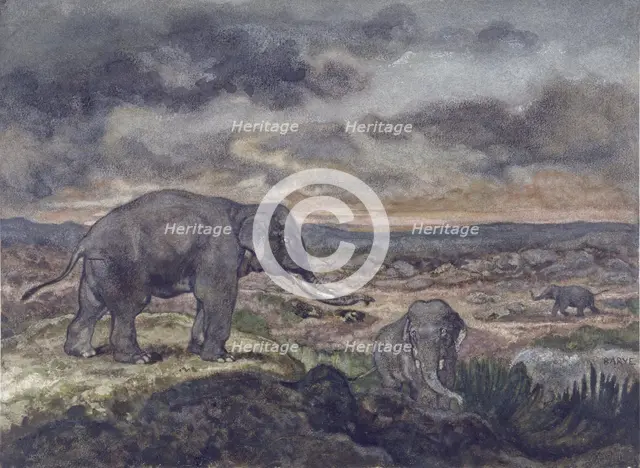 Elephants, c1867. Creator: Antoine-Louis Barye.