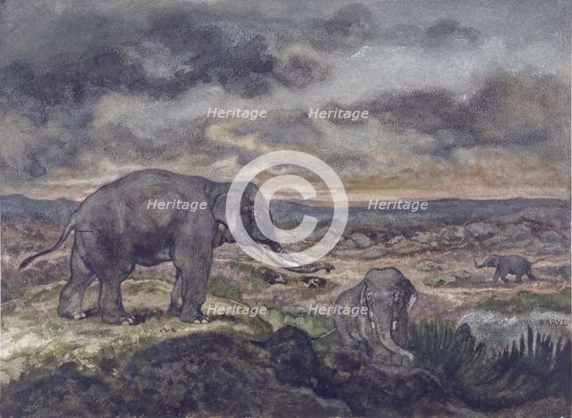 Elephants, c1867. Creator: Antoine-Louis Barye.