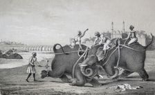Elephants fighting, India, 1850. Creator: Unknown