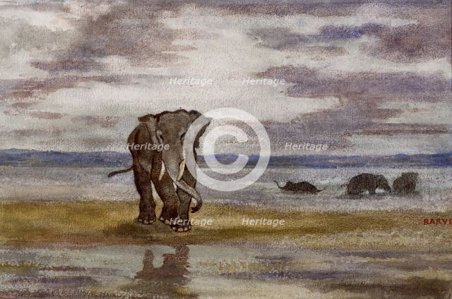 Elephants in Water, c1850. Creator: Antoine-Louis Barye.