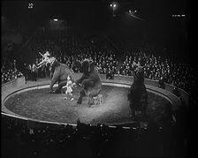 Elephants Performing in a Circus Ring in Front of a Large Crowd, 1931. Creator: British Pathe Ltd