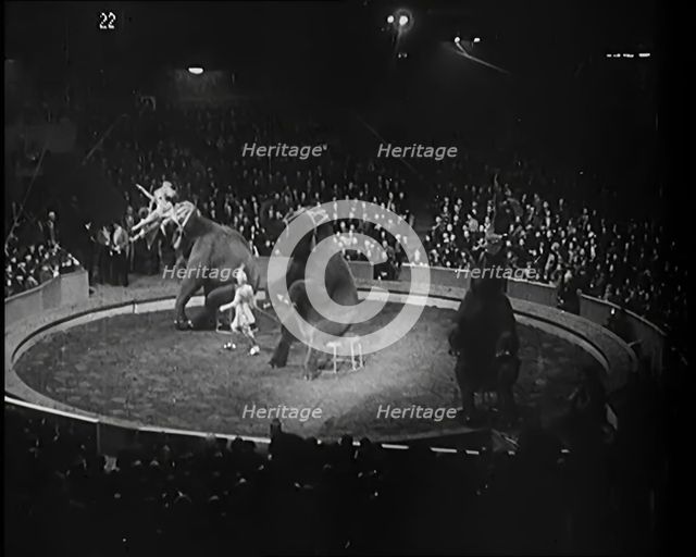 Elephants Performing in a Circus Ring in Front of a Large Crowd, 1931. Creator: British Pathe Ltd.
