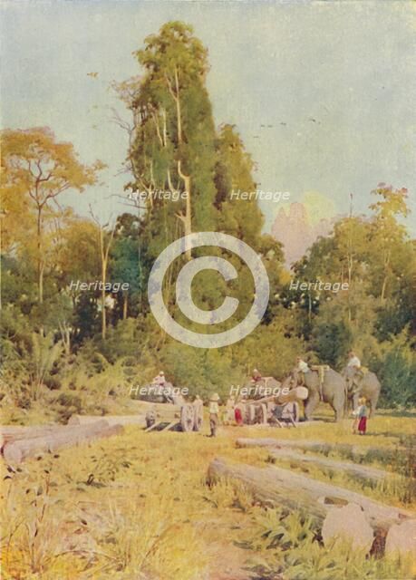 'Elephants Piling Teak', 1924. Artist: Unknown.