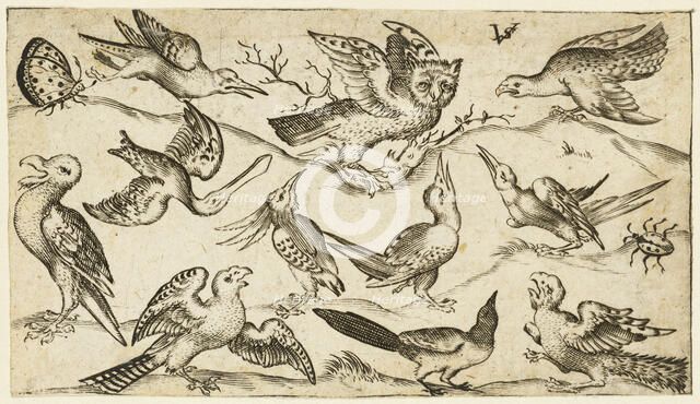 Eleven birds and two insects on minimal ground with owl with wings outstretched..., 1572.  Creator: Virgil Solis.