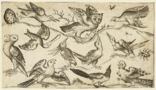 Eleven birds and two insects on minimal ground with owl with wings outstretched..., 1572. Creator: Virgil Solis