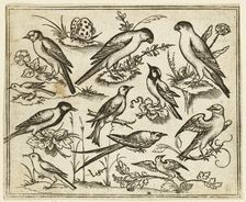 Eleven birds sitting on patches of flowering foliage and small branches..., 1557. Creator: Virgil Solis