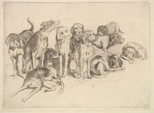 Eleven Hounds, 1625-77. Creator: Wenceslaus Hollar