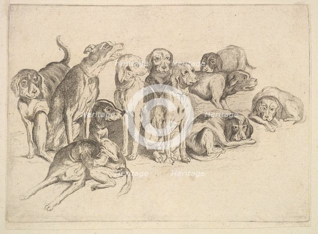 Eleven Hounds, 1625-77. Creator: Wenceslaus Hollar.