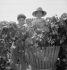 Eleven year old boy and his grandmother, migratory..., near Independence, Polk County, Oregon, 1939. Creator: Dorothea Lange
