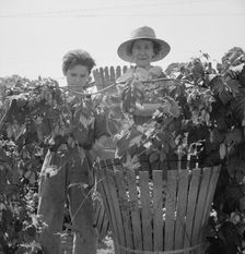Eleven year old boy and his grandmother, migratory..., near Independence, Polk County, Oregon, 1939. Creator: Dorothea Lange