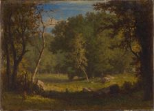 Elf Ground, ca. 1860. Creator: George Inness