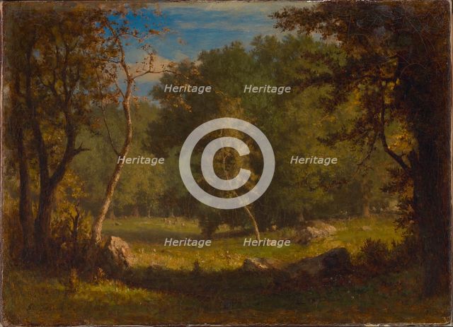 Elf Ground, ca. 1860. Creator: George Inness.
