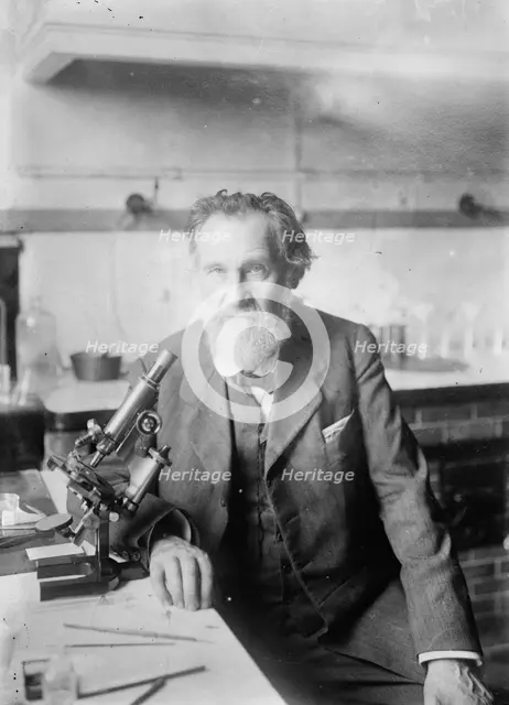 Elie Metchnikoff, between c1910 and c1915. Creator: Bain News Service.