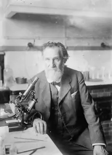 Elie Metchnikoff, between c1910 and c1915. Creator: Bain News Service