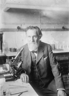Elie Metchnikoff, between c1910 and c1915. Creator: Bain News Service