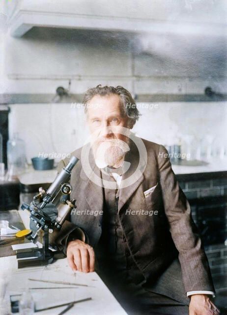 Elie Metchnikoff, between c1910 and c1915. Creator: Bain News Service.