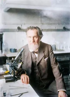 Elie Metchnikoff, between c1910 and c1915. Creator: Bain News Service