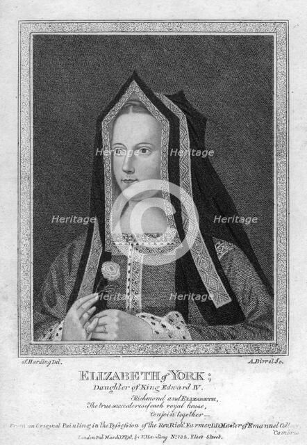 Elizabeth of York, Queen Consort of King Henry VII, (1790).Artist: A Birrell