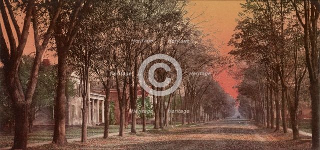 Elizabeth Street, Dansville, N.Y., ca 1900. Creator: Unknown.
