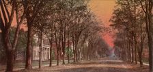 Elizabeth Street, Dansville, N.Y., ca 1900. Creator: Unknown