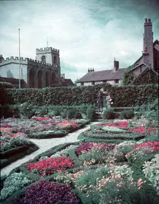 Elizabethan knot garden, Stratford-on-Avon, Warwickshire, c1955. Creator: Arthur Charles Kirby Ware