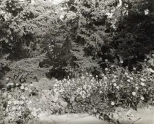 "Elk Rock," Peter Kerr house, 11800 SW Military Lane, Portland, Oregon, 1923. Creator: Frances Benjamin Johnston