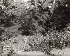 "Elk Rock," Peter Kerr house, 11800 SW Military Lane, Portland, Oregon, 1923. Creator: Frances Benjamin Johnston